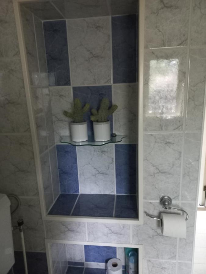 Vogelzang Villa Hattemerbroek Ngoại thất bức ảnh